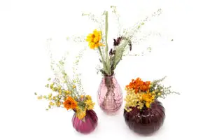 3-er Set Minivasen mit Tagetes, Lein, Currykraut, Fuchsschwanz