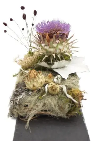 Artischocke auf Schieferplatte, 2