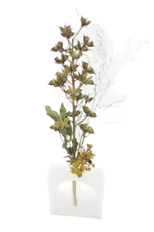 Wachsständer mit Sternenpflanze